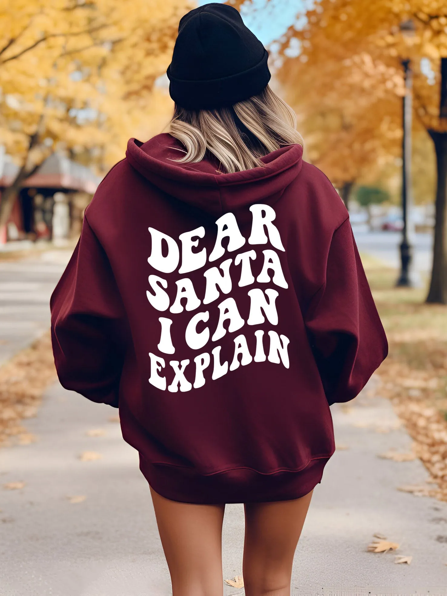 Dear Santa I Can Explain Hoodie - New!