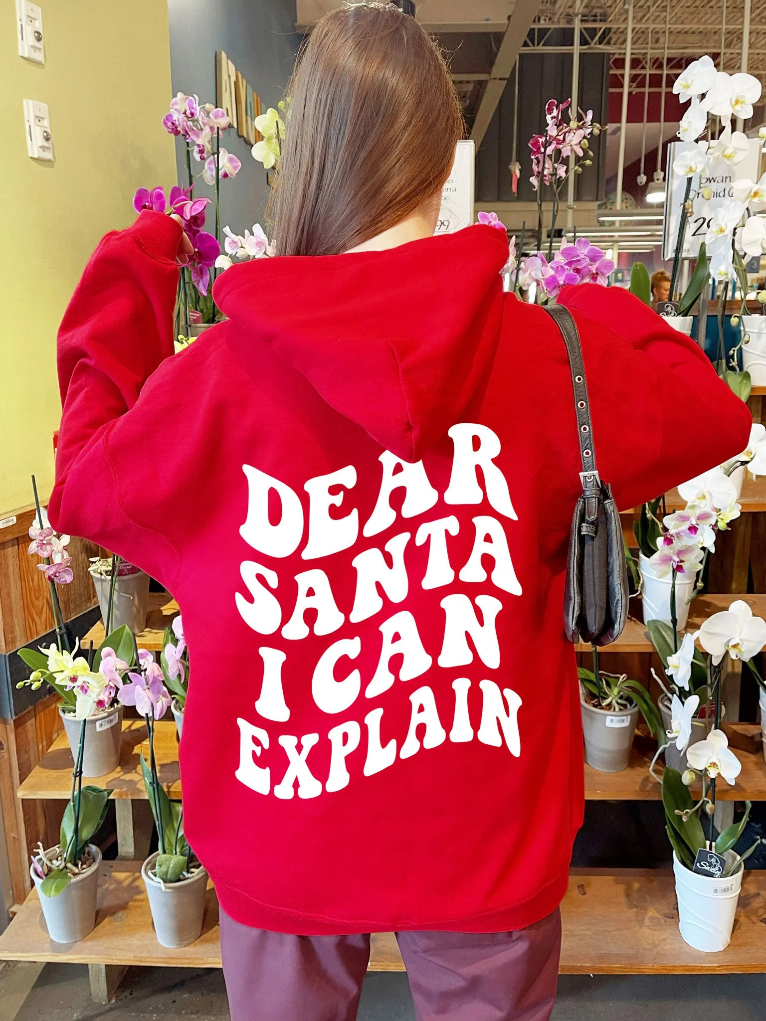 Dear Santa I Can Explain Hoodie - New!