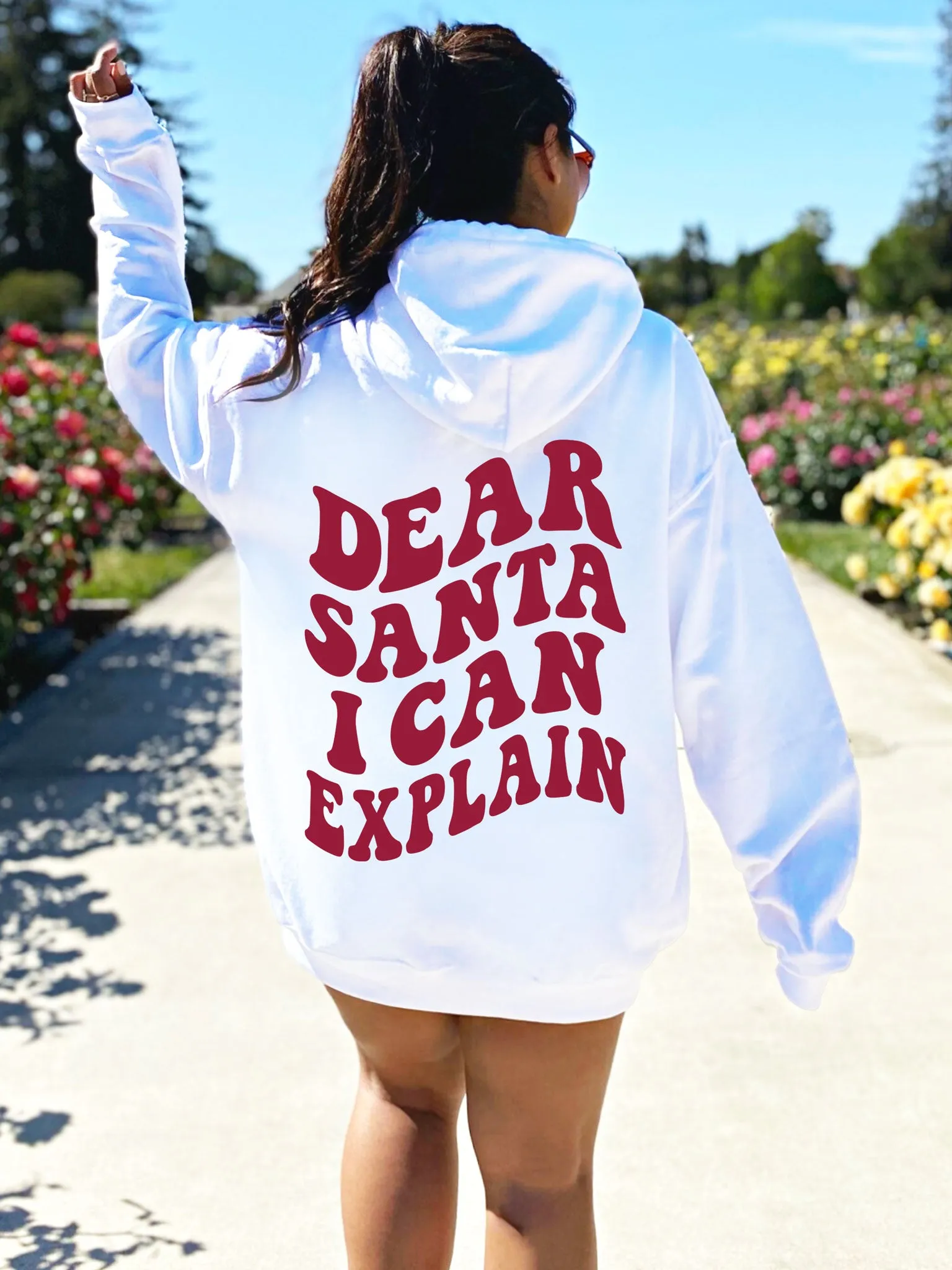 Dear Santa I Can Explain Hoodie - New!