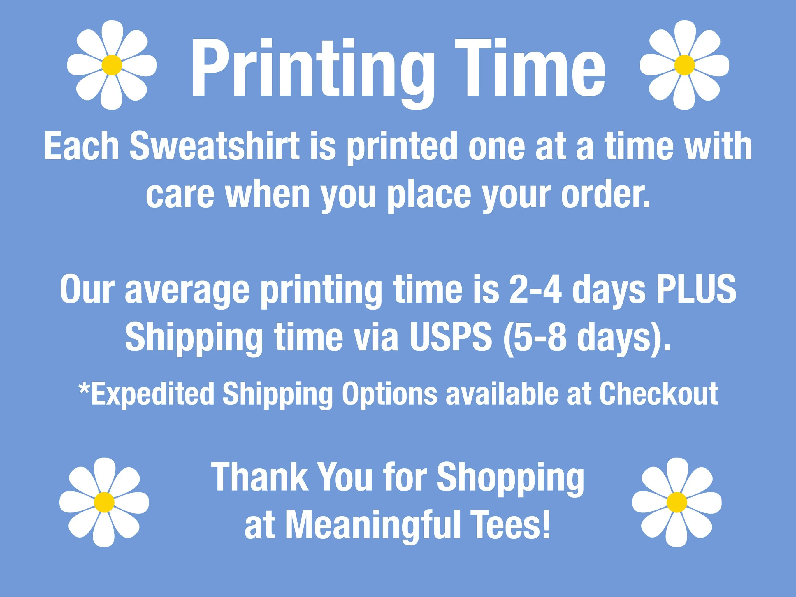 Forever Chasing Sunsets Hoodie - New Colors!
