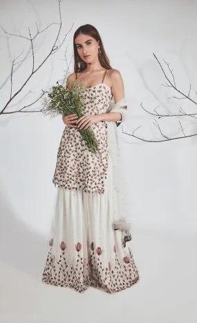 Sweet vine sharara